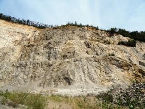 13 Stranice - nahajališče fosilov (Foto 13, Ljudmila Strahovnik, ZRSVN OE Celje)